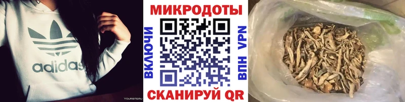 Псилоцибиновые грибы Psilocybine cubensis  Котельники 