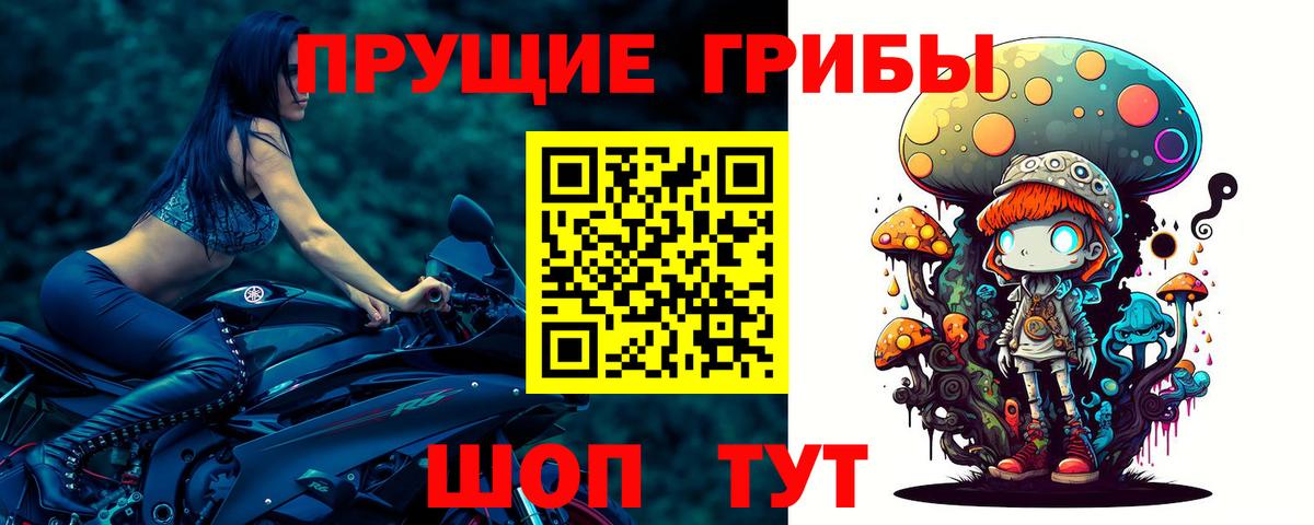 Котельники  Галлюциногенные грибы GOLDEN TEACHER  Галлюциногенные грибы мухоморы  Вход с VPN 